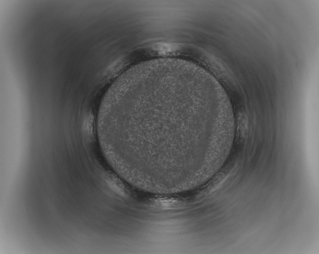 X0000111850650200908131440