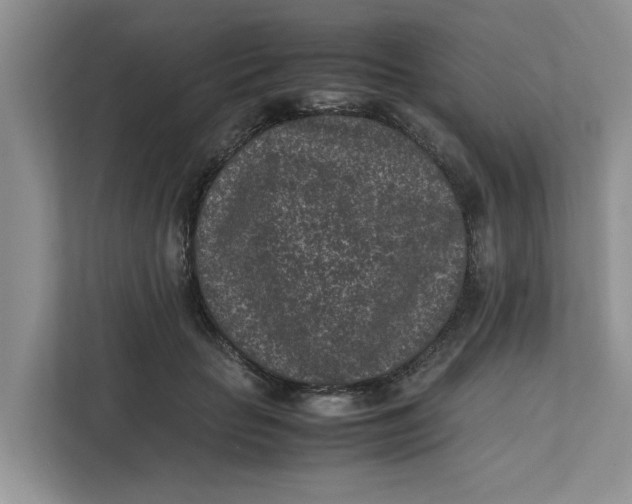 X0000111850653200908131440