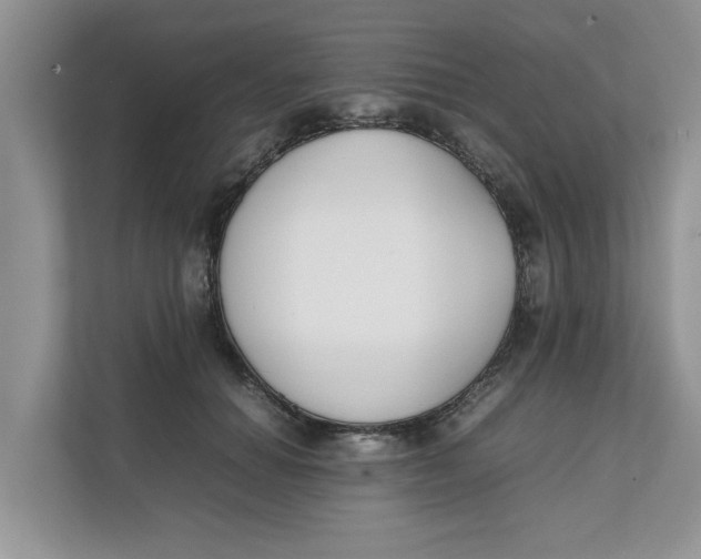 X0000111850654200908131440