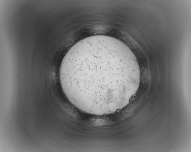 X0000111850655200908131440