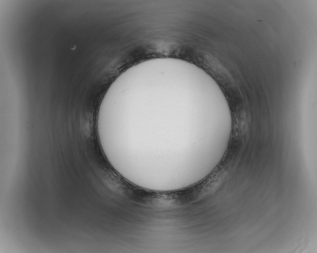 X0000111850656200908131440