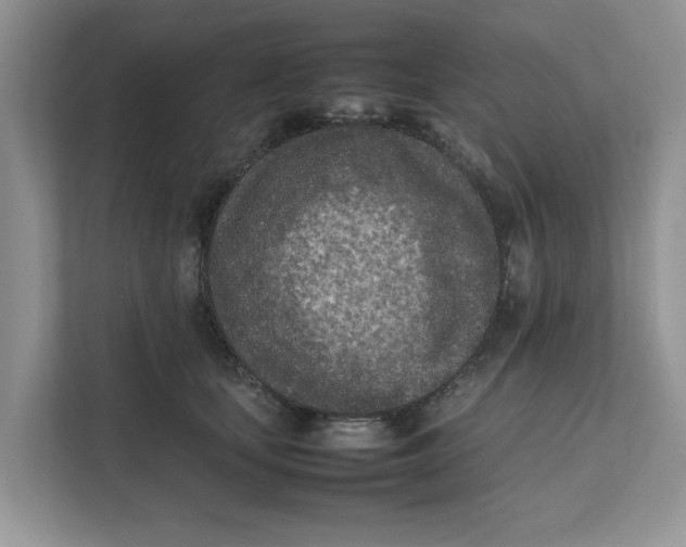 X0000111850659200908131440