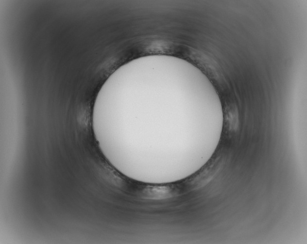 X0000111850665200908131440