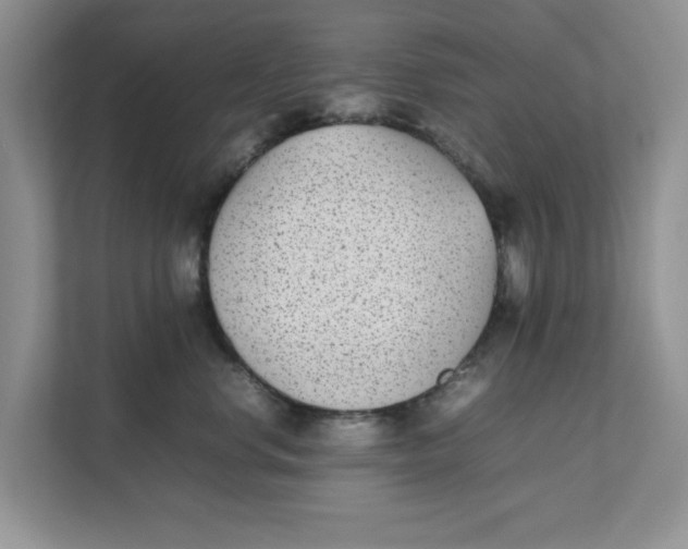 X0000111850668200908131440