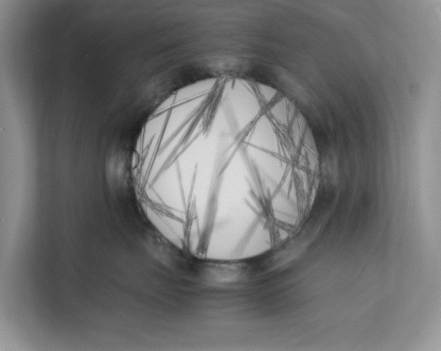 X0000111850671200908131440