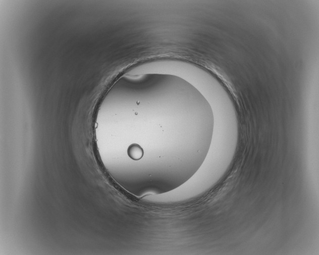 X0000111850673200908131439