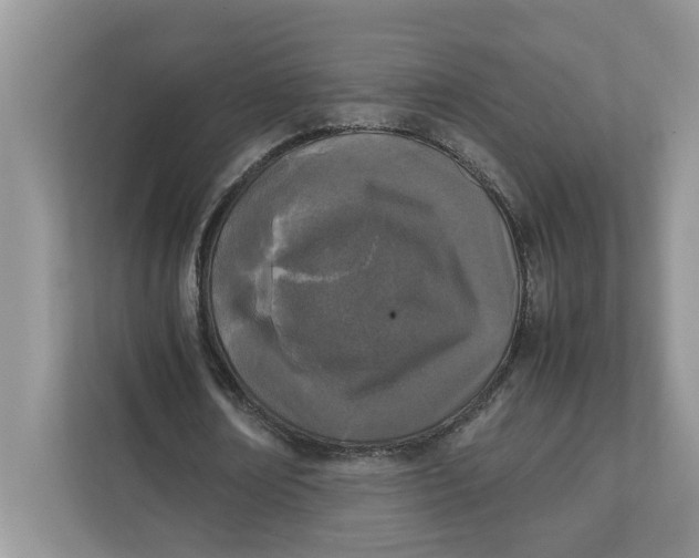 X0000111850674200908131439