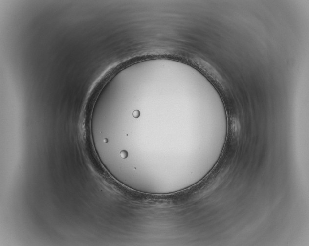 X0000111850676200908131439