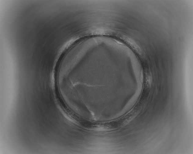 X0000111850678200908131439