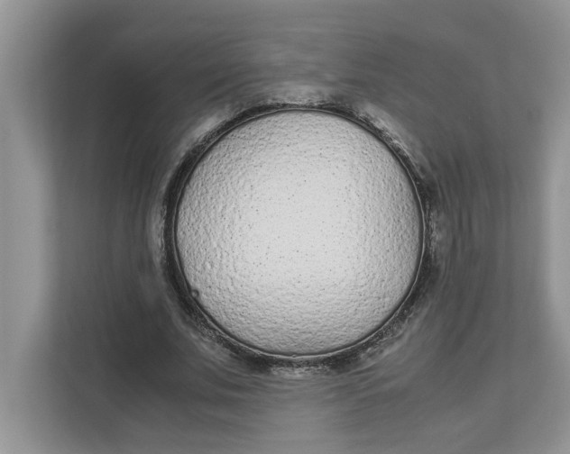 X0000111850679200908131439