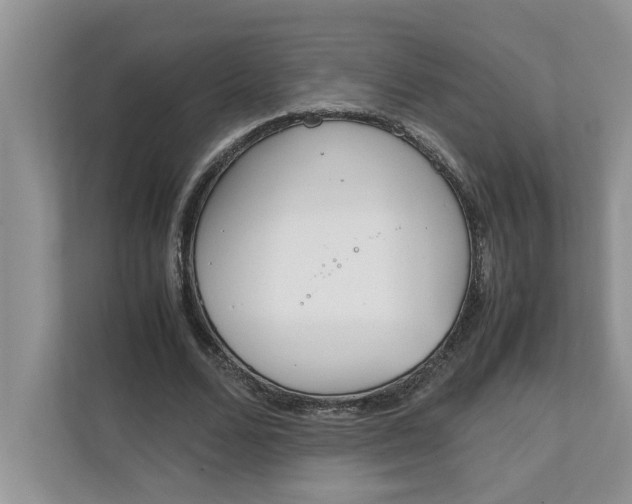 X0000111850680200908131439