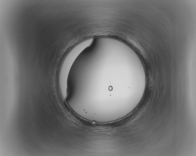 X0000111850681200908131439