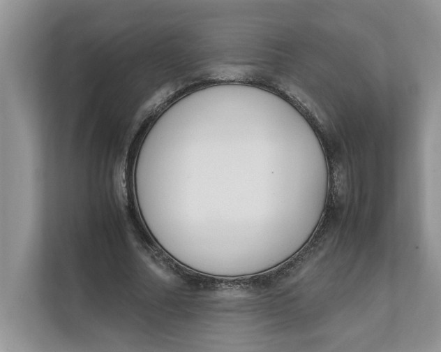 X0000111850682200908131439