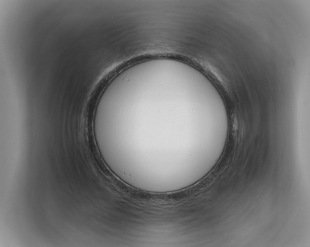 X0000111850684200908131439