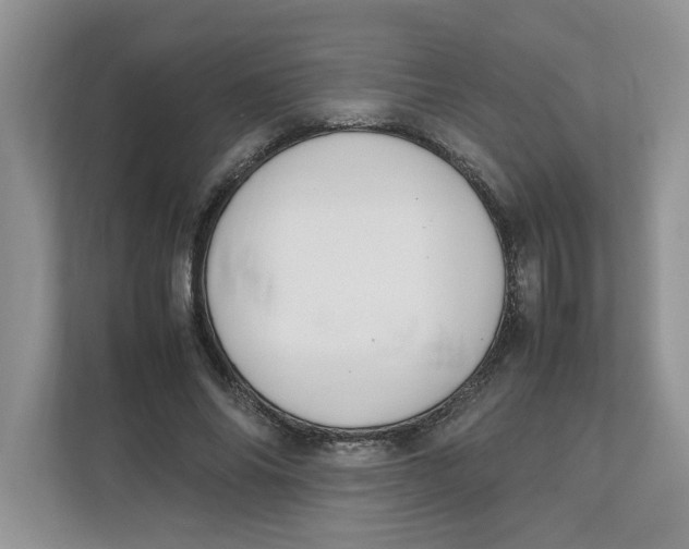 X0000111850686200908131439