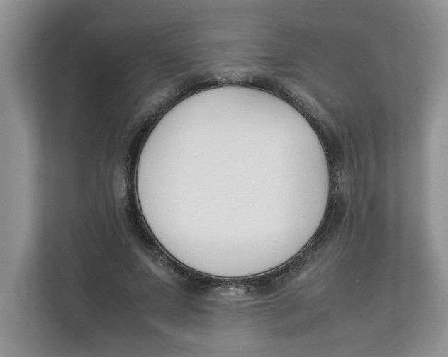 X0000111850687200908131439