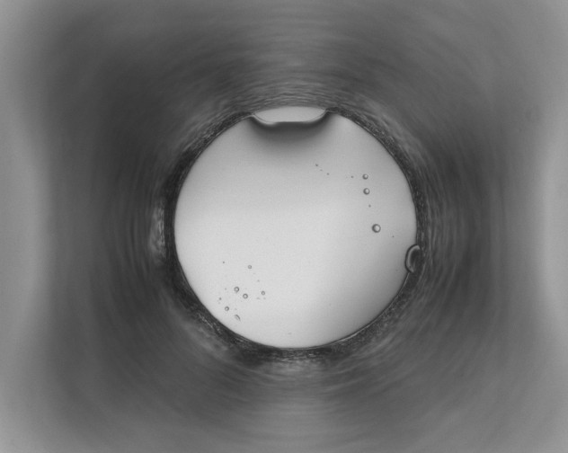 X0000111850696200908131439