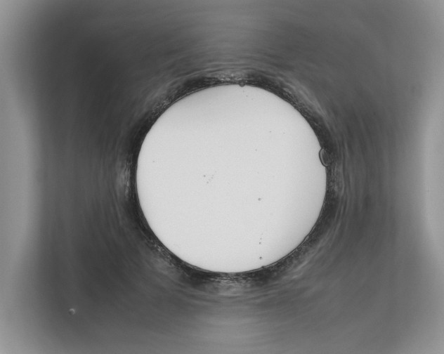 X0000111850697200908131439