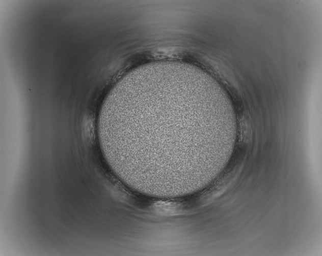 X0000111850699200908131439