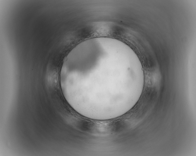 X0000111850701200908131439