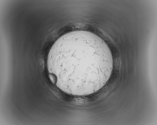 X0000111850703200908131439