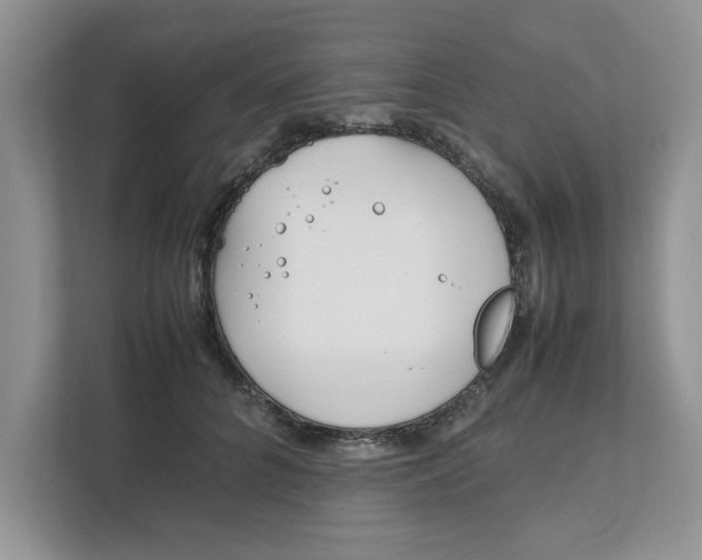 X0000111850704200908131439