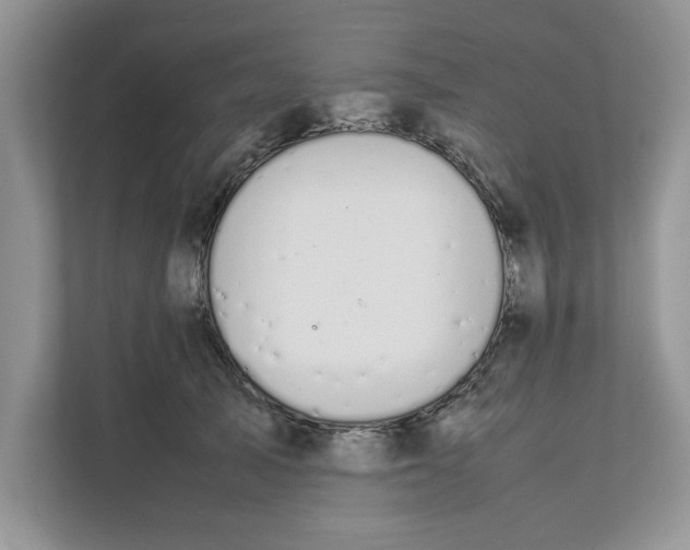 X0000111850705200908131439