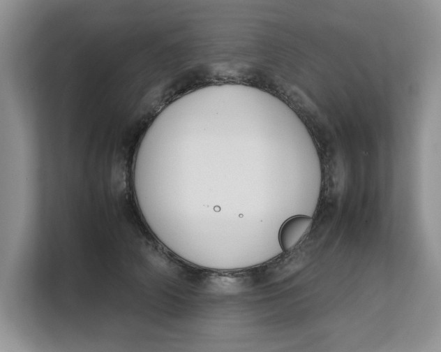 X0000111850706200908131439