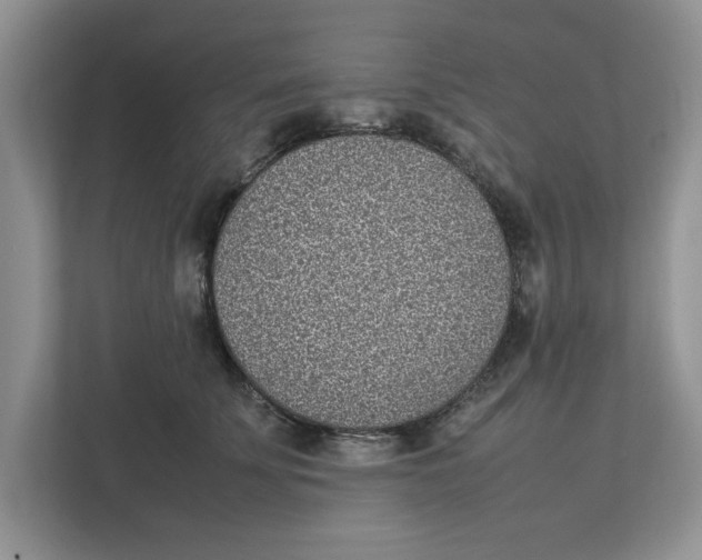 X0000111850707200908131439