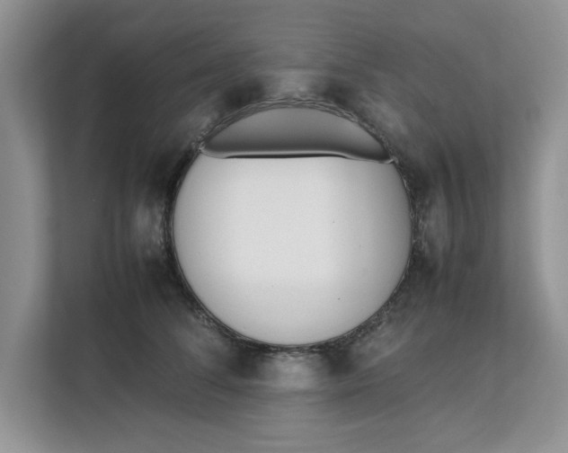 X0000111850708200908131439