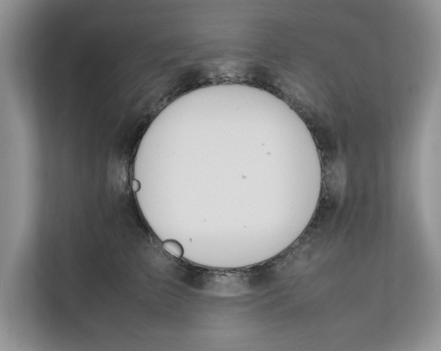 X0000111850709200908131439