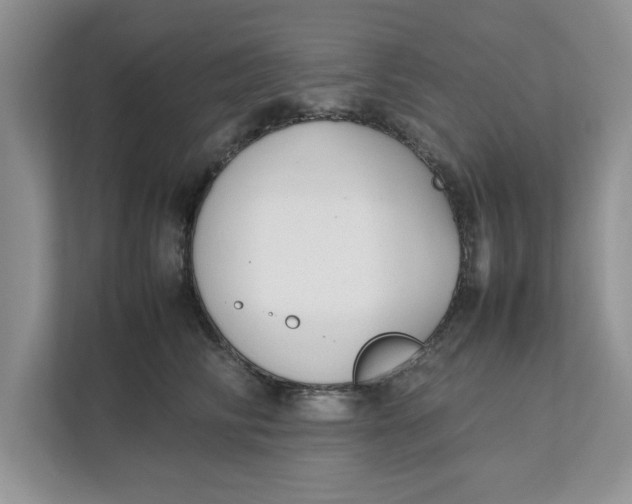 X0000111850710200908131439