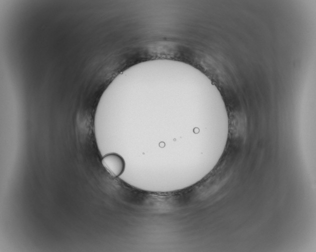 X0000111850713200908131439