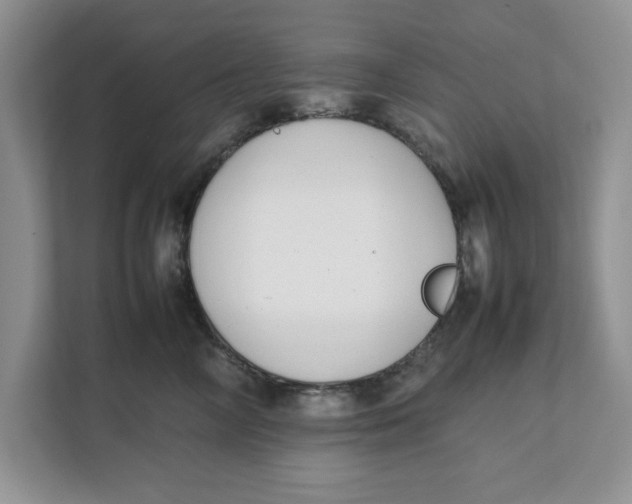 X0000111850714200908131439