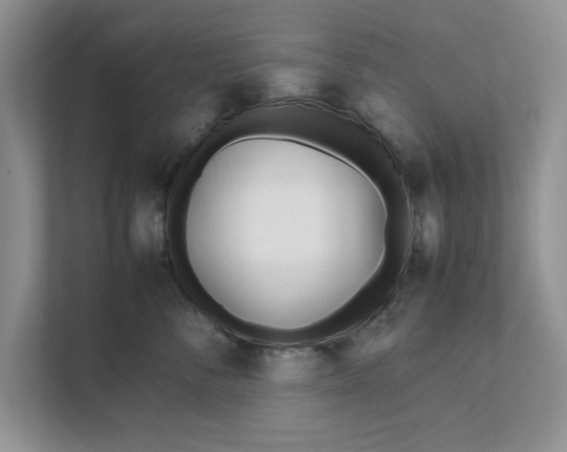 X0000111850716200908131439