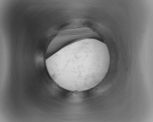 X0000111850720200908131439