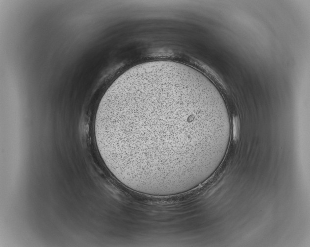 X0000111850723200908131438