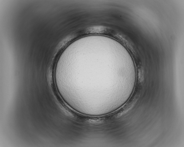 X0000111850725200908131438