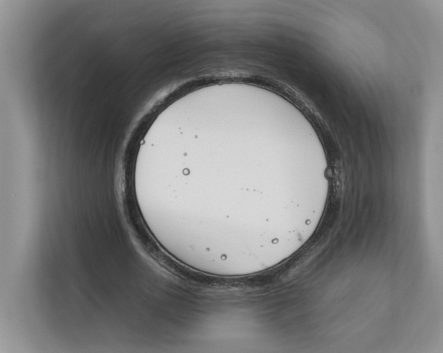 X0000111850726200908131438