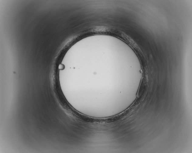 X0000111850728200908131438