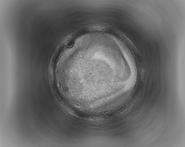 X0000111850729200908131438