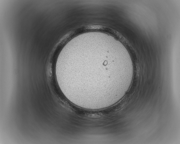 X0000111850731200908131438