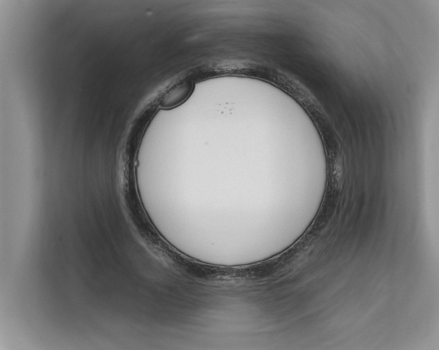 X0000111850732200908131438