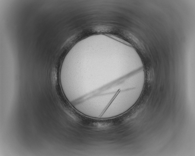 X0000111850733200908131438