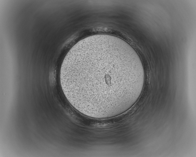 X0000111850735200908131438