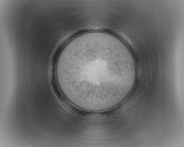 X0000111850736200908131438