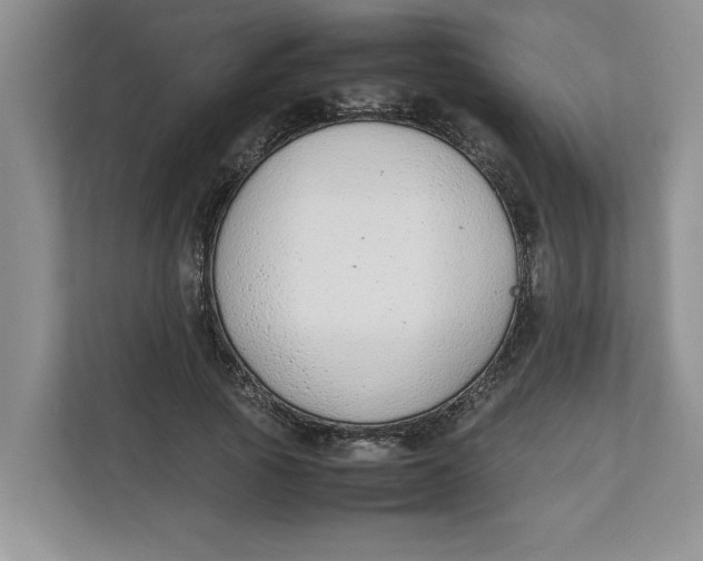 X0000111850737200908131438