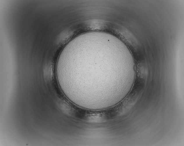 X0000111850740200908131438