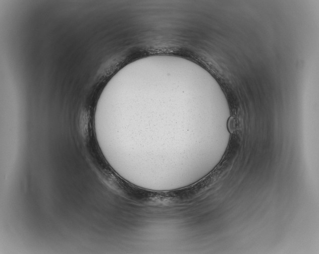 X0000111850742200908131438