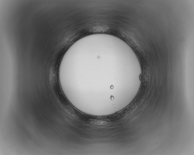 X0000111850743200908131438